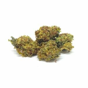 Moby Dick 45%