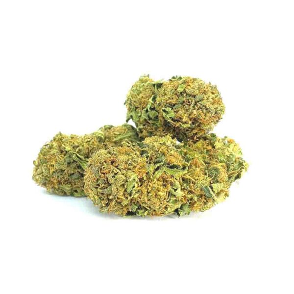 CBD Buds Blüten Agent Orange