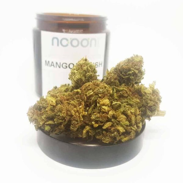 CBD Gras MANGO CRUSH
