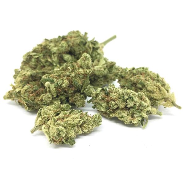 CBD Blüte GIRL SCOUT COOKIES