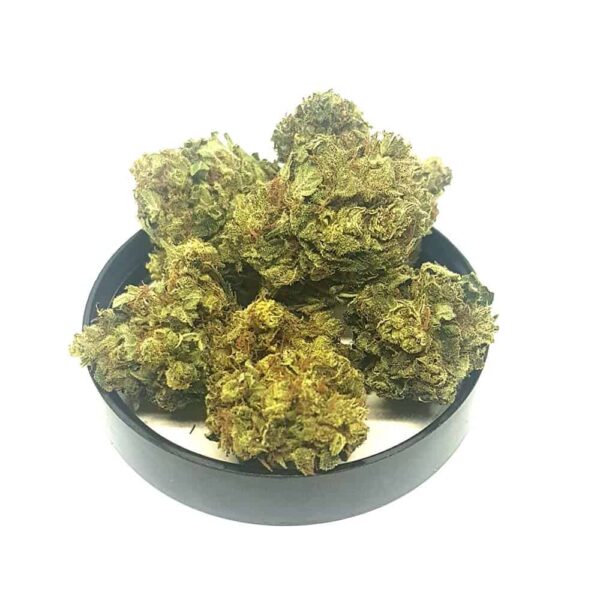 CBD Gras LEMON HAZE