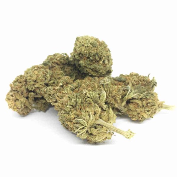 Sour Diesel CBD Günstig