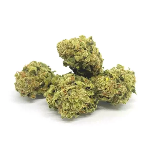 Bubble Gum CBD Cannabidiol