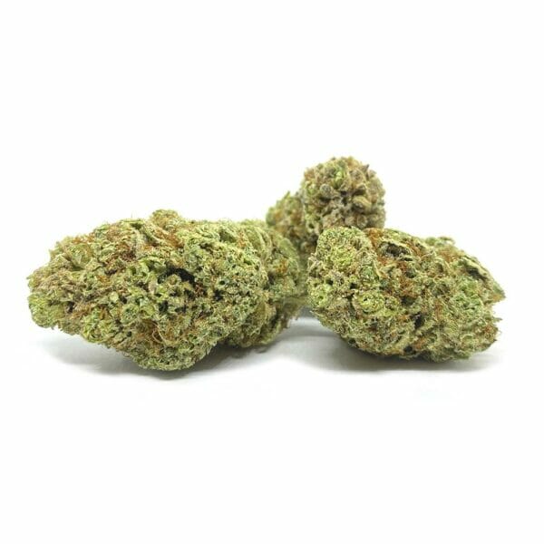 Cheese Royal Cannabis