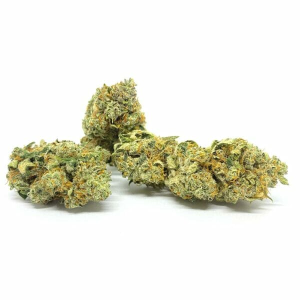 CBG Blüte Jack Frost